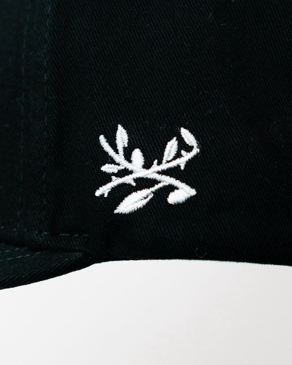 The Daily Hat
