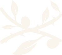 ALTAR Aesthetics Co.