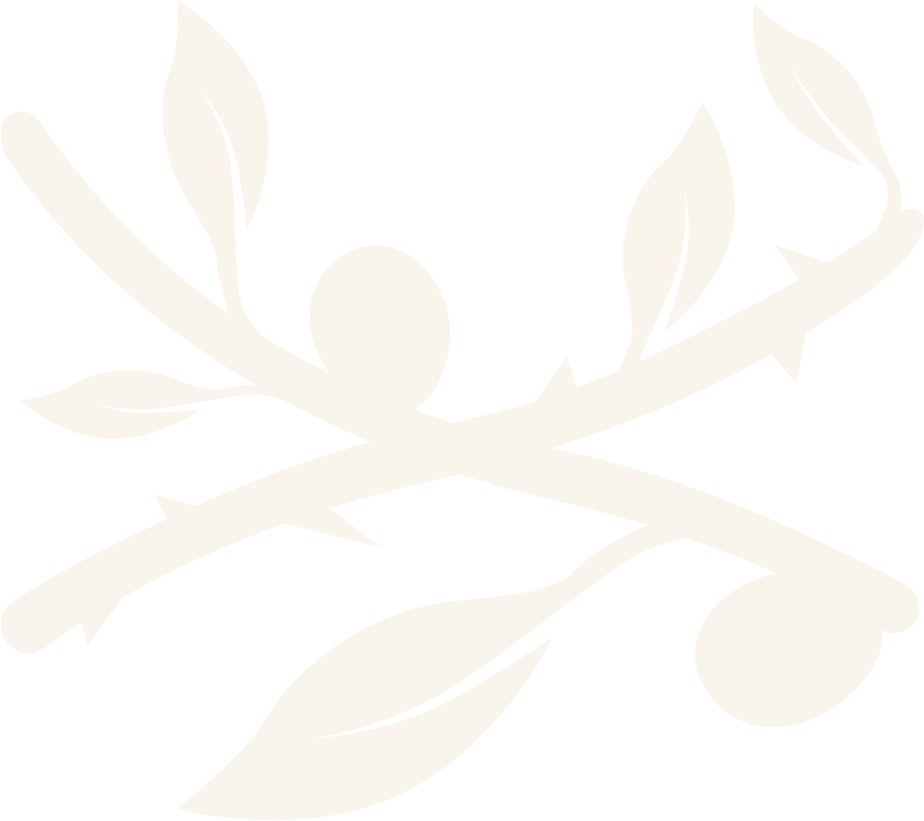 ALTAR Aesthetics Co.